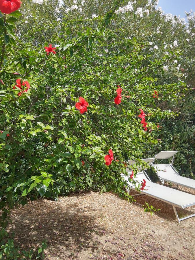 -Exclusive Private Villa- Villasimius Eksteriør billede